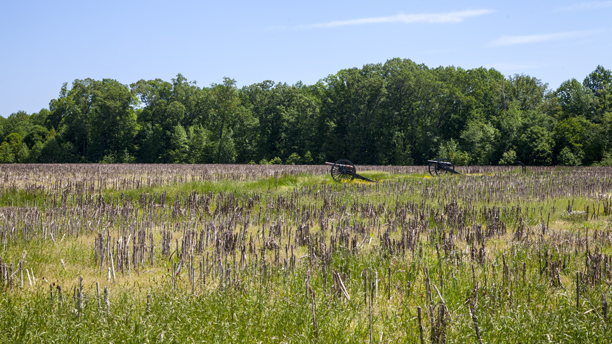 Malvern Hill The Cultural Landscape Foundation